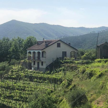 Villa Elena Mezzanego Dış mekan fotoğraf