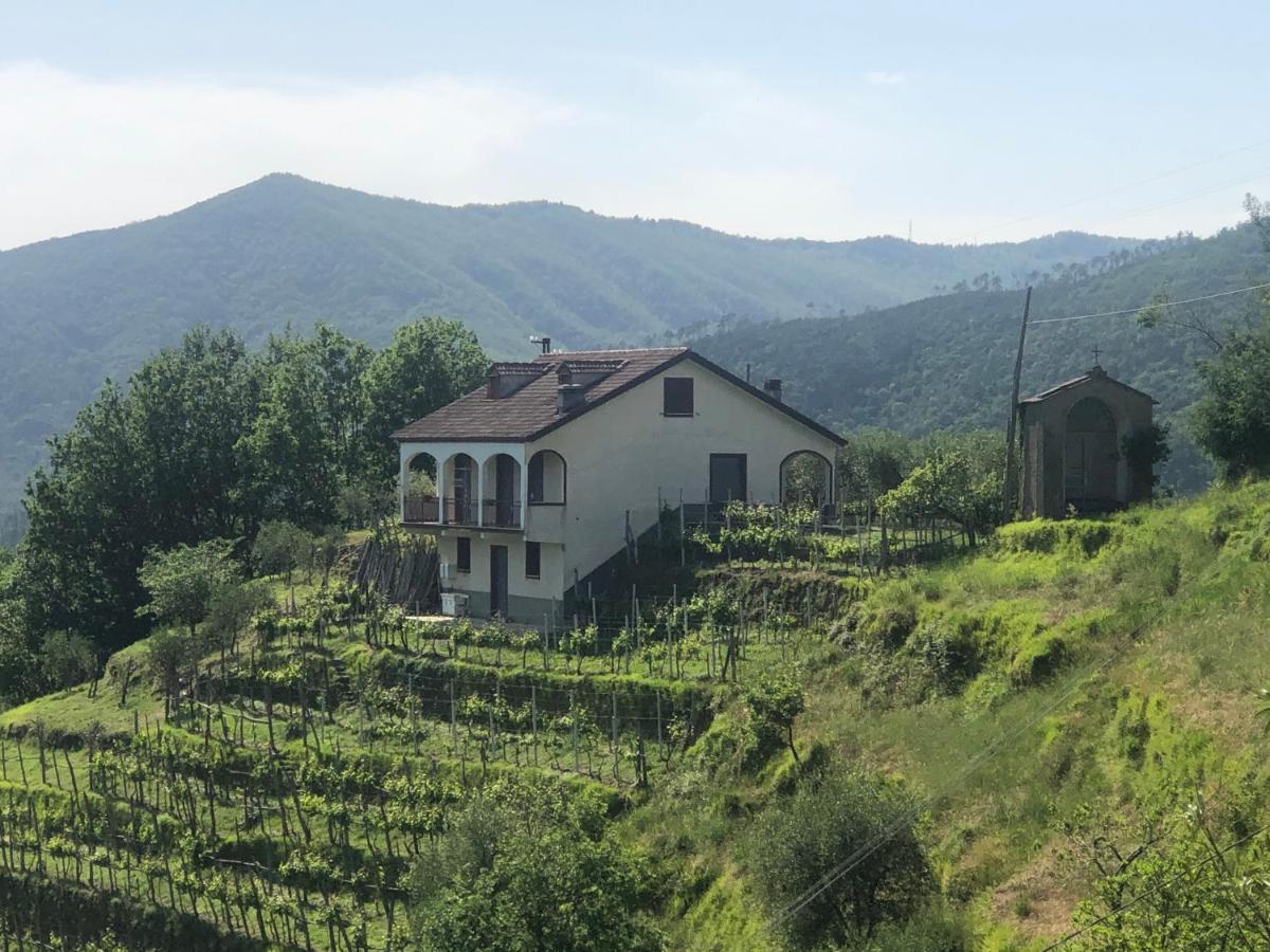 Villa Elena Mezzanego Dış mekan fotoğraf