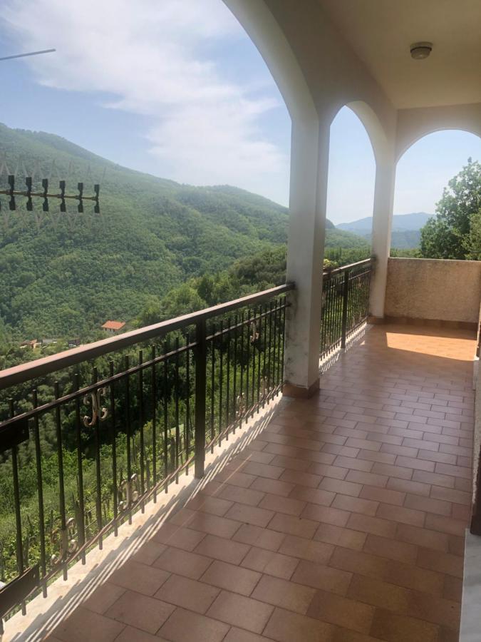 Villa Elena Mezzanego Dış mekan fotoğraf