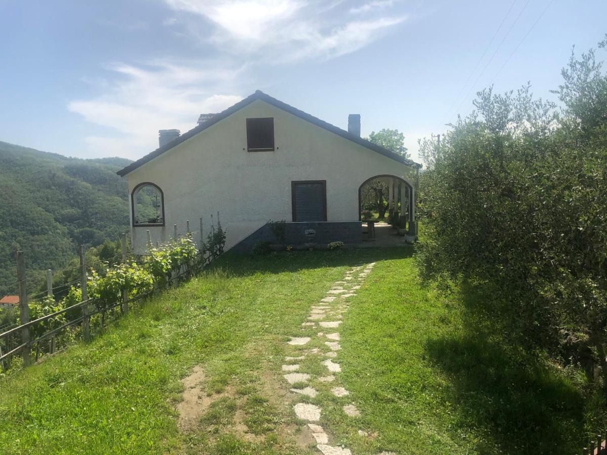 Villa Elena Mezzanego Dış mekan fotoğraf