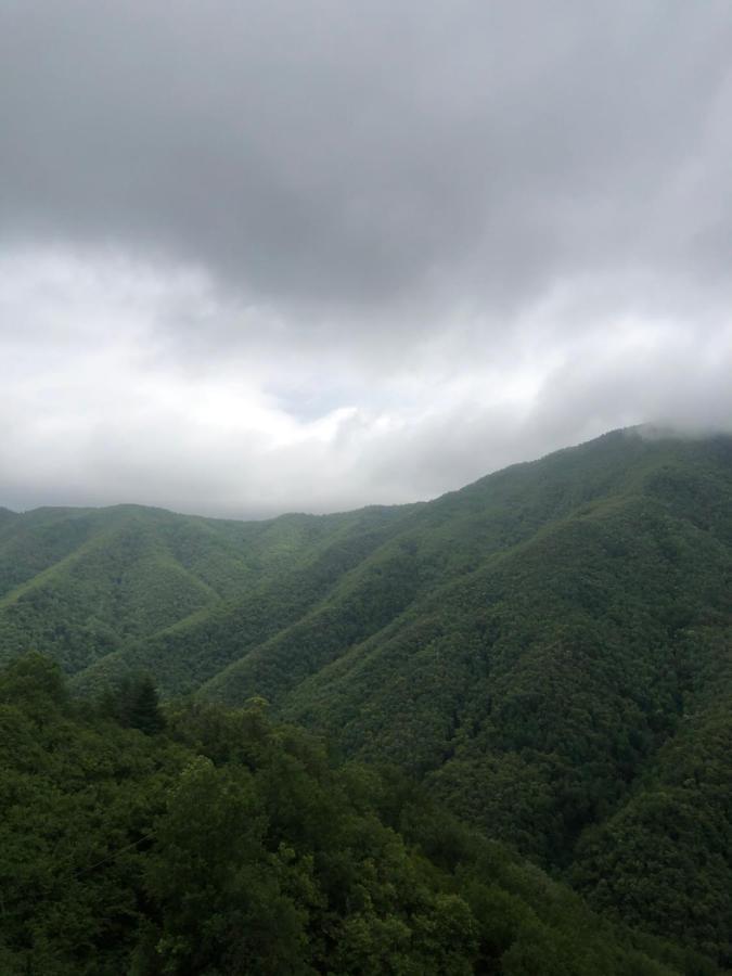 Villa Elena Mezzanego Dış mekan fotoğraf