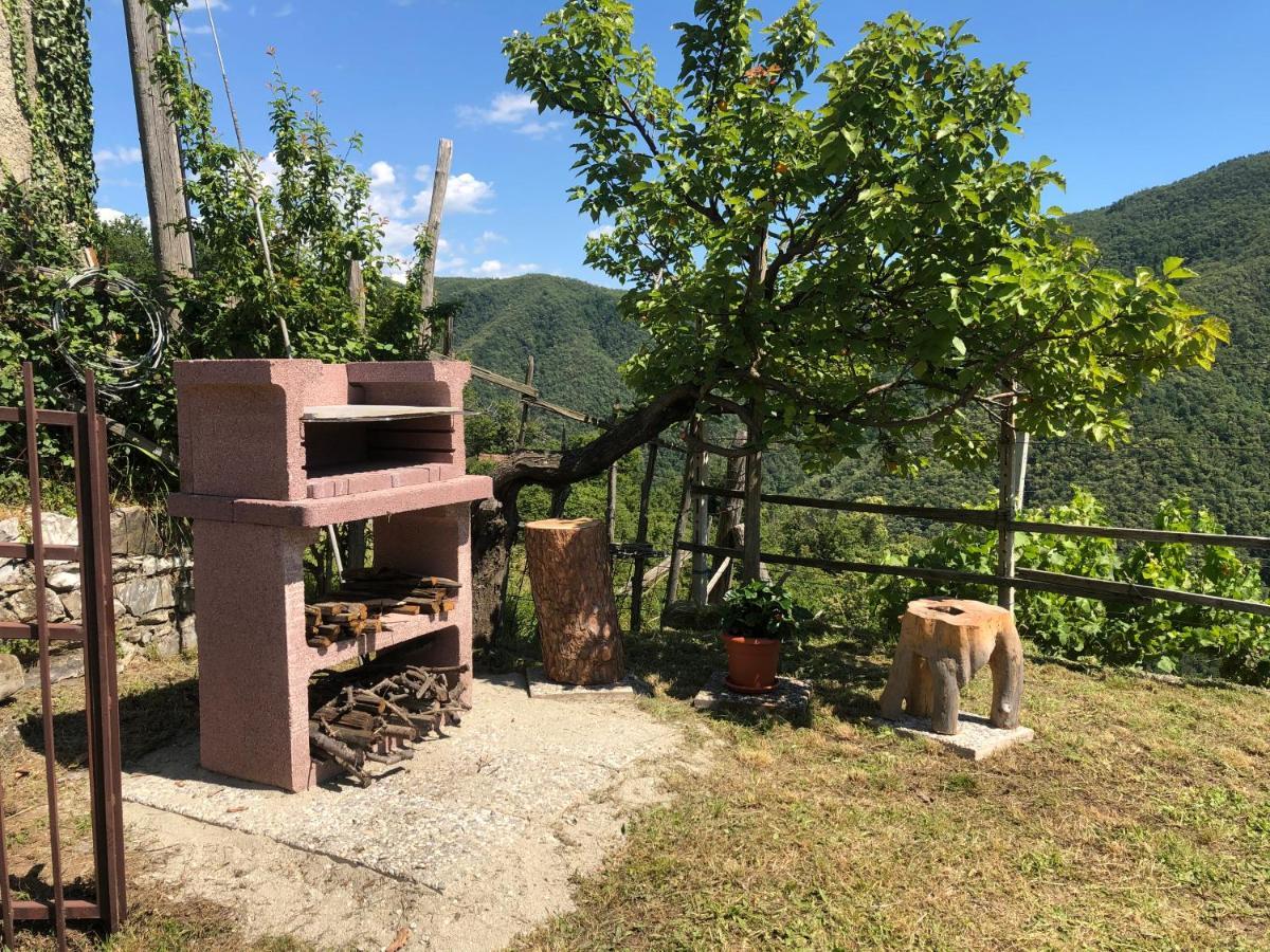 Villa Elena Mezzanego Dış mekan fotoğraf