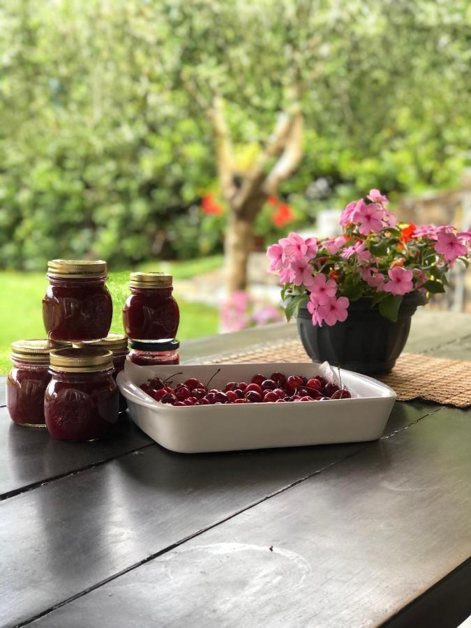 Villa Elena Mezzanego Dış mekan fotoğraf