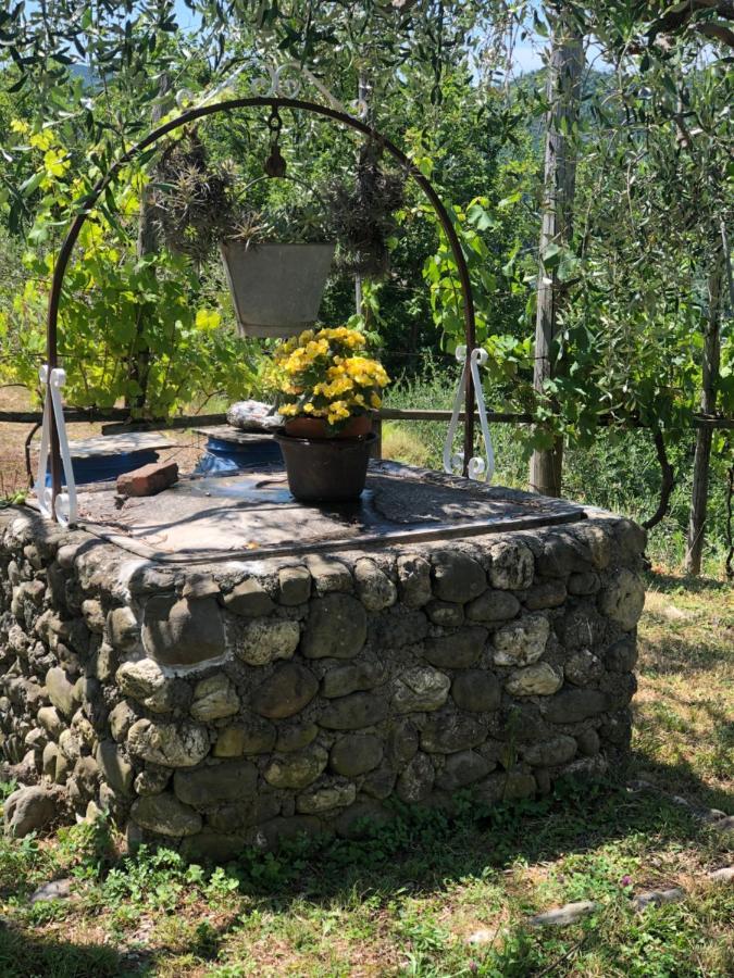 Villa Elena Mezzanego Dış mekan fotoğraf