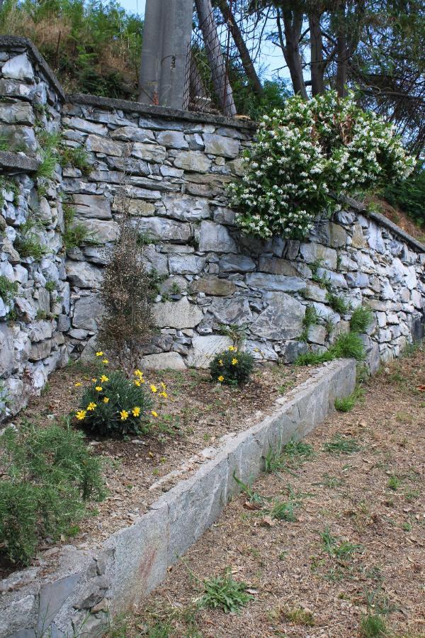 Villa Elena Mezzanego Dış mekan fotoğraf
