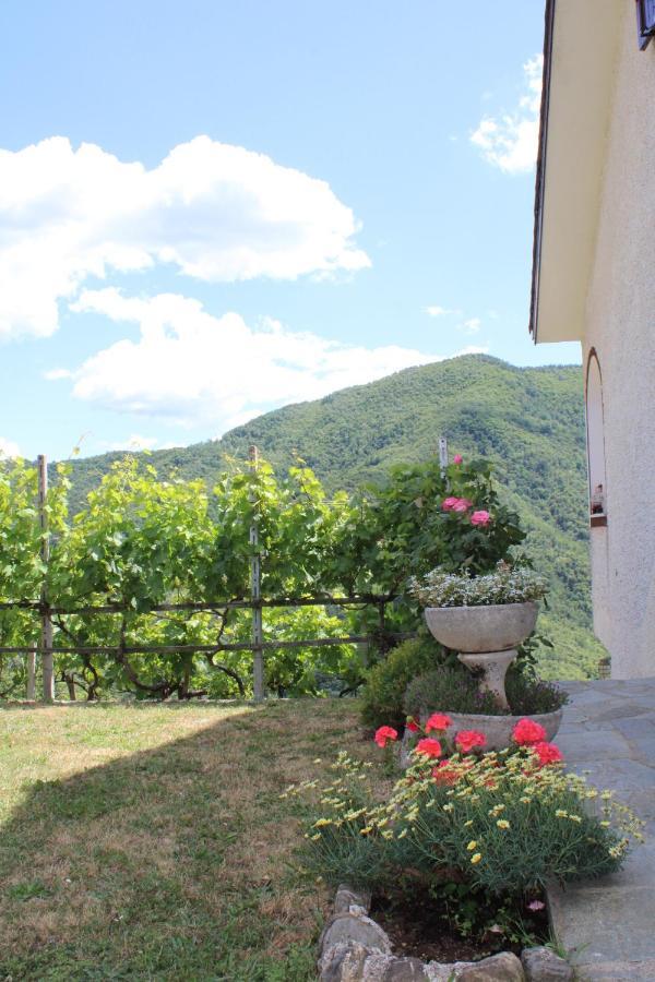 Villa Elena Mezzanego Dış mekan fotoğraf