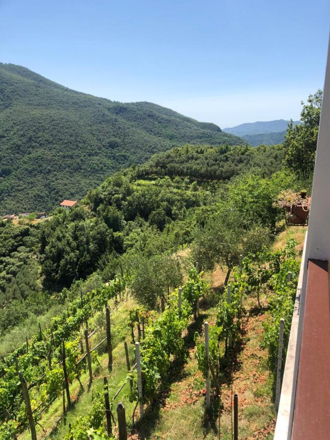 Villa Elena Mezzanego Dış mekan fotoğraf
